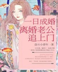 一日成婚，离婚老公追上门章节列表