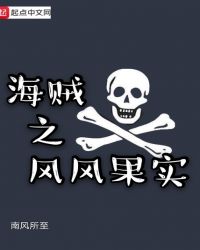 海贼之风能力章节列表