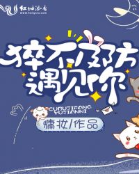 猝不及防遇见你章节列表