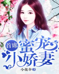 首席蜜宠小娇妻章节列表
