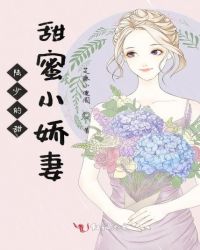 陆少的甜甜蜜小娇妻章节列表