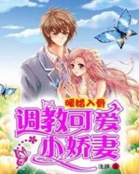 暖婚入骨：调教可爱小娇妻章节列表