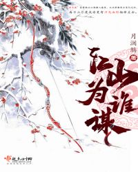 江山为谁谋章节列表