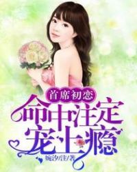 首席初恋：命中注定宠上瘾章节列表