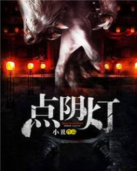 点阴灯章节列表