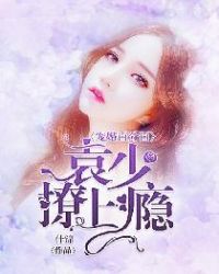 宠婚百分百：袁少撩上瘾章节列表