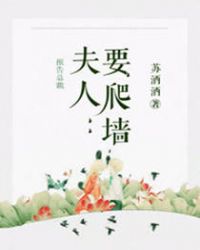 报告总裁：夫人要爬墙章节列表