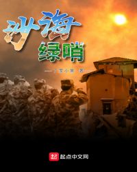 沙海绿哨章节列表