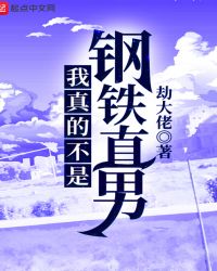 我真的不是钢铁直男章节列表