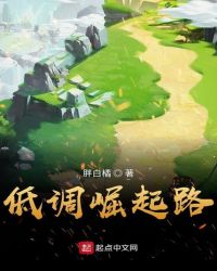 低调崛起路章节列表