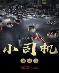 小司机闯都市章节列表