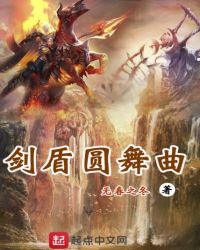 剑盾圆舞曲章节列表