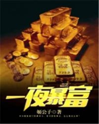 一夜暴富章节列表