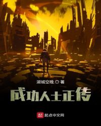 成功人士正传章节列表