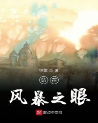 站在风暴之眼章节列表