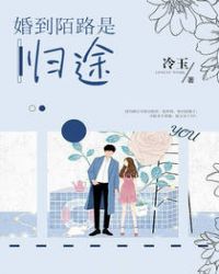 婚到陌路是归途章节列表