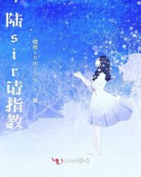 陆sir请指教章节列表