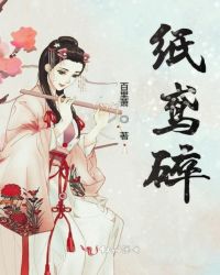 纸鸢碎章节列表