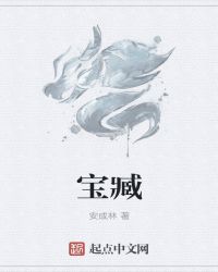 宝臧章节列表