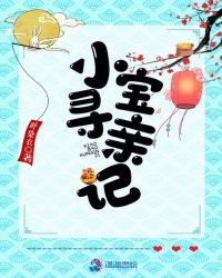 小宝寻亲记章节列表