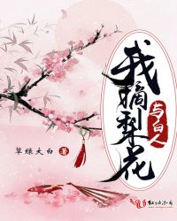 我摘梨花与白人章节列表