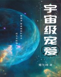 宇宙级宠爱章节列表