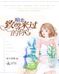 暗恋致曾来过的你章节列表