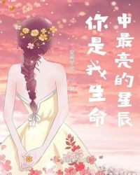 你是我生命中最亮的星辰章节列表