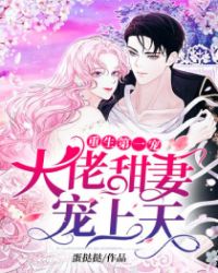 重生第一宠：大佬甜妻宠上天章节列表