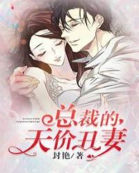 总裁的天价丑妻章节列表