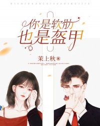 你是软肋，也是盔甲章节列表