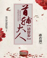 首辅大人请留步章节列表