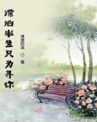 漂泊半生只为寻你章节列表