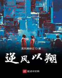 逆风以翔章节列表