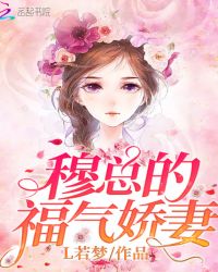 穆总的福气娇妻章节列表