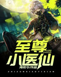 至尊小医仙章节列表