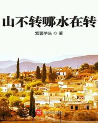 山不转哪水在转章节列表