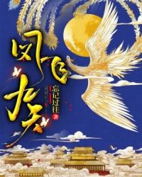 凤飞九天章节列表