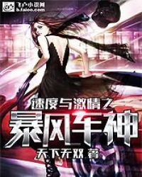 速度与激情之暴风车神章节列表