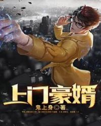 上门豪婿章节列表