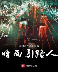 暗面引路人章节列表