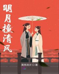 明月撞清风章节列表