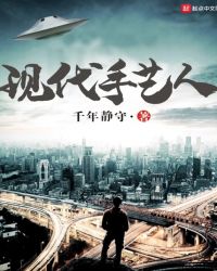 现代手艺人章节列表