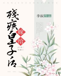 嫁给残疾皇子后章节列表