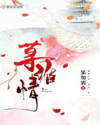 荨淮情章节列表