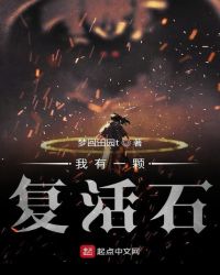 我有一颗复活石章节列表