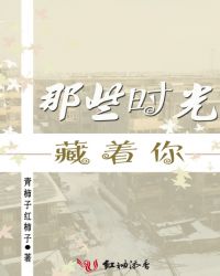 那些时光藏着你章节列表