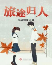 旅途归人章节列表