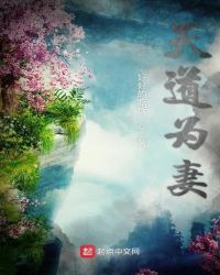 天道为妻章节列表