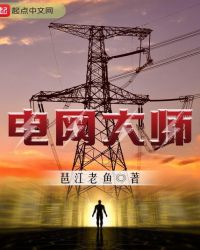 电网大师章节列表